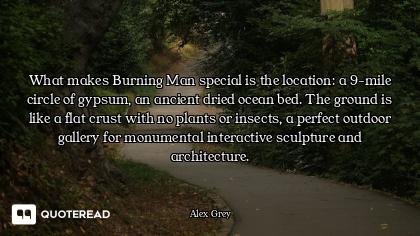 What makes Burning Man special is the location: a 9-mile circle of gypsum, an ancient dried ocean be...