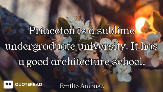 Princeton is a sublime undergraduate university. It has a good architecture school.