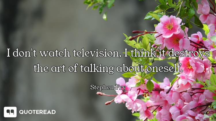 I don't watch television, I think it destroys the art of talking about oneself.