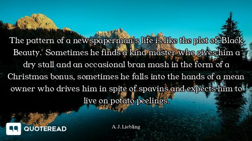 The pattern of a newspaperman's life is like the plot of 'Black Beauty.' Sometimes he finds a kind m...