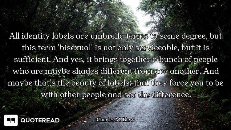 All identity labels are umbrella terms to some degree, but this term 'bisexual' is not only servicea...
