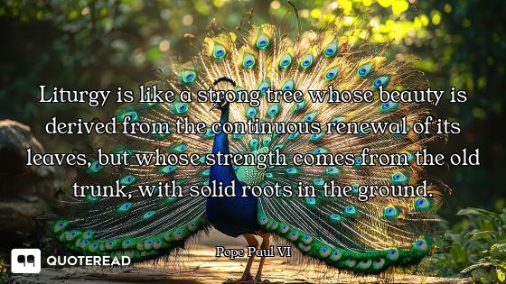 Liturgy is like a strong tree whose beauty is derived from the continuous renewal of its leaves, but...