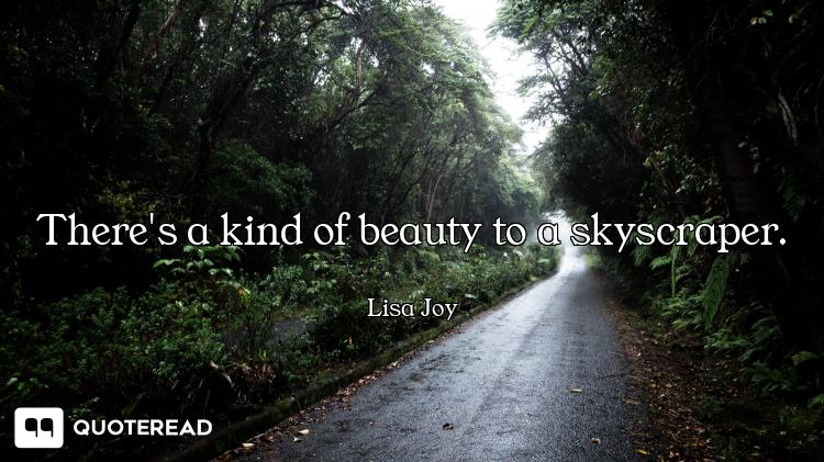 There's a kind of beauty to a skyscraper.