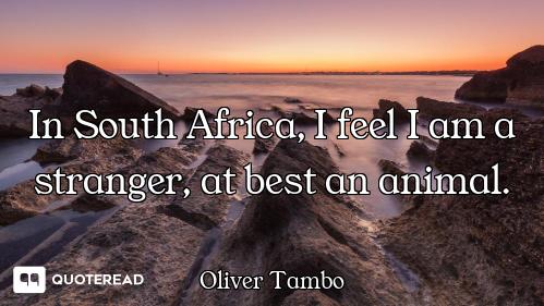In South Africa, I feel I am a stranger, at best an animal.