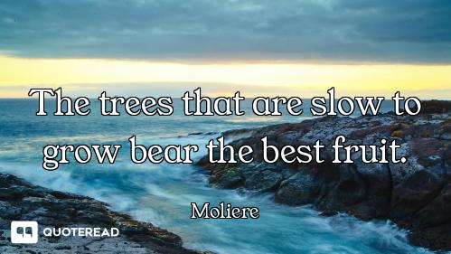 The trees that are slow to grow bear the best fruit.