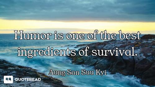 Humor is one of the best ingredients of survival.