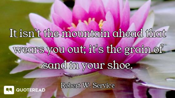 It isn't the mountain ahead that wears you out; it's the grain of sand in your shoe.