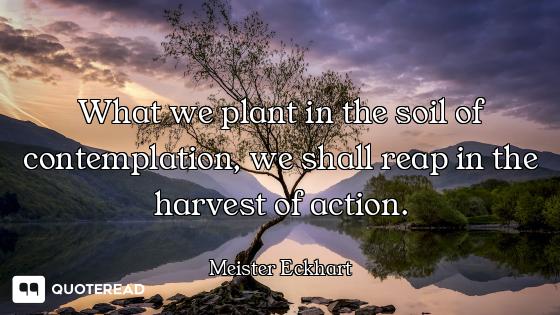 What we plant in the soil of contemplation, we shall reap in the harvest of action.
