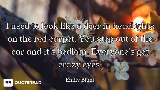 I used to look like a deer in headlights on the red carpet. You step out of the car and it's bedlam....