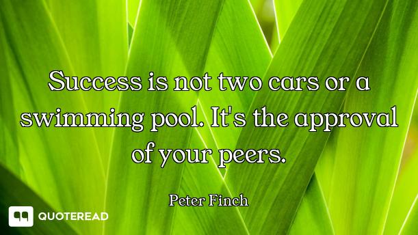 Success is not two cars or a swimming pool. It's the approval of your peers.