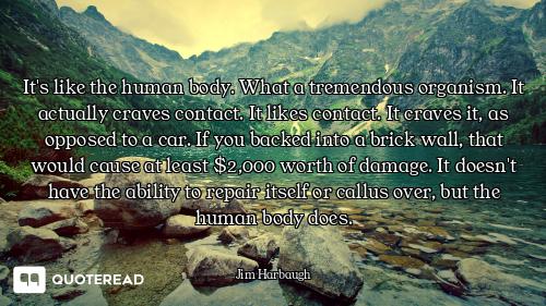 It's like the human body. What a tremendous organism. It actually craves contact. It likes contact....