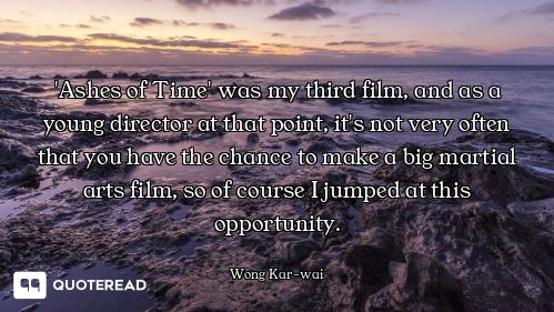 'Ashes of Time' was my third film, and as a young director at that point, it's not very often that y...