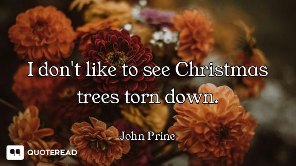 I don't like to see Christmas trees I don't like to see Christmas trees torn down.