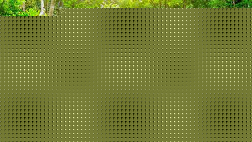 Growing up in Northern California, I've only seen snow at Christmas maybe twice in my life! I was al...