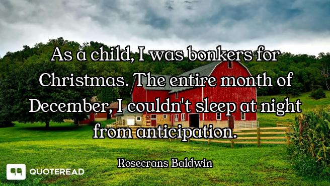 As a child, I was bonkers for Christmas. The entire month of December, I couldn't sleep at night fro...