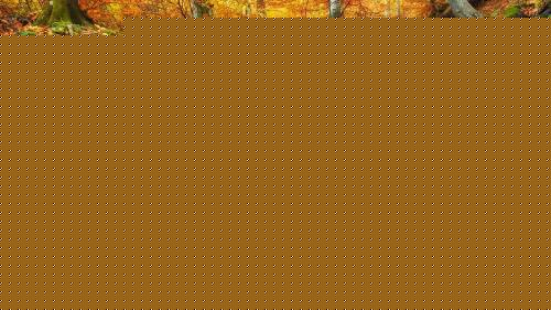 I'm well-travelled so I can see places coming up. I went to St. Croix in the West Indies at Christma...