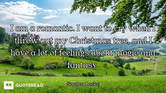 I am a romantic. I want to cry when I throw out my Christmas tree, and I have a lot of feelings abou...