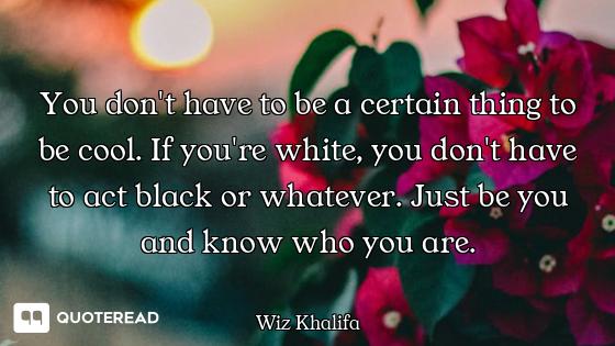 You don't have to be a certain thing to be cool. If you're white, you don't have to act black or wha...