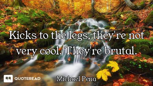 Kicks to the legs, they're not very cool. They're brutal.