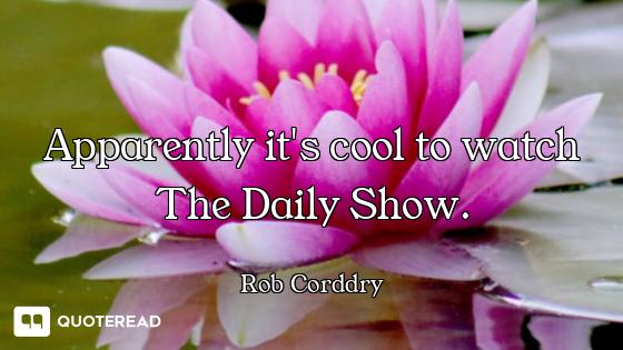 Apparently it's cool to watch The Daily Show.