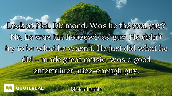 Look at Neil Diamond. Was he the cool guy? No, he was the housewives' guy. He didn't try to be what...