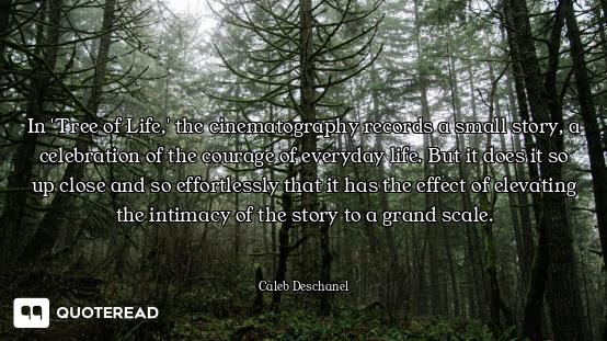In 'Tree of Life,' the cinematography records a small story, a celebration of the courage of everyda...