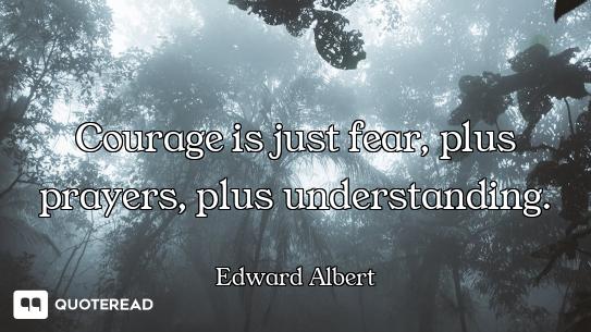 Courage is just fear, plus prayers, plus understanding.