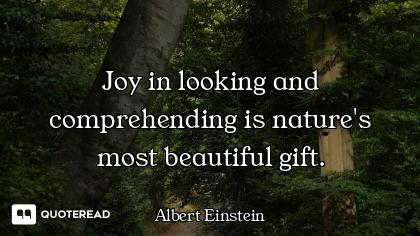 Joy in looking and comprehending is nature's most beautiful gift.