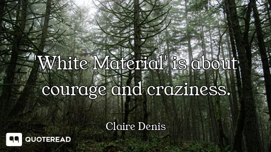 'White Material' is about courage and craziness.