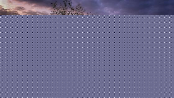 People tend to look at dating sort of like a safari - like they're trying to land the trophy.