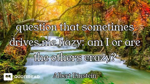 question that sometimes drives me hazy: am I or are the others crazy?