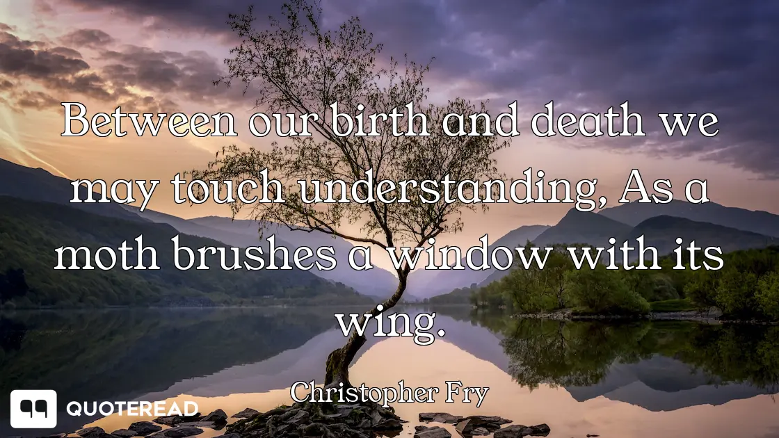 Between our birth and death we may touch understanding, As a moth brushes a window with its wing.