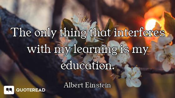 The only thing that interferes with my learning is my education.