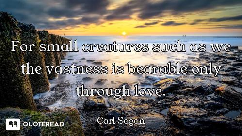 For small creatures such as we For small creatures such as we the vastness is bearable only through love.