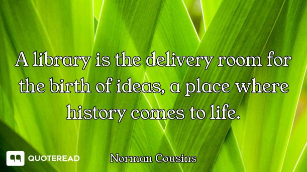 A library is the delivery room for the birth of ideas, a place where history comes to life.