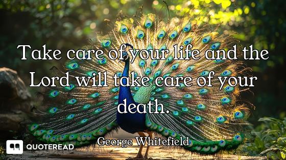 Take care of your life and the Lord will take care of your death.