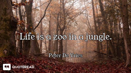 Life is a zoo in a jungle.