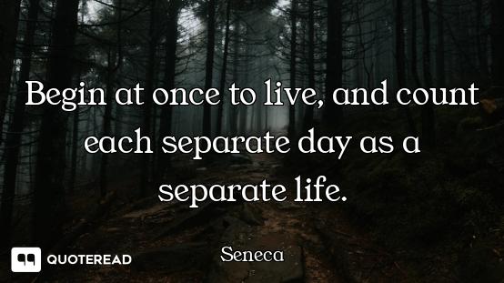Begin at once to live, and count each separate day as a separate life.