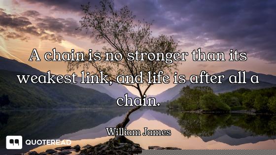 A chain is no stronger than its weakest link, and life is after all a chain.