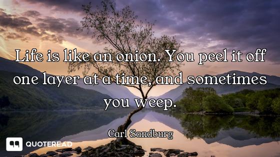 Life is like an onion. You peel it off one layer at a time, and sometimes you weep.