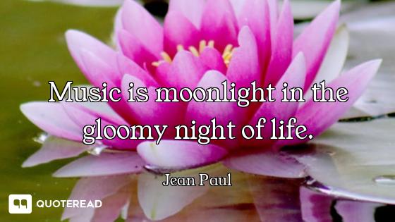 Music is moonlight in the gloomy night of life.