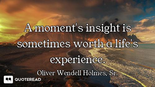 A moment's insight is sometimes worth a life's experience.