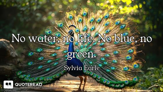 No water, no life. No blue, no green.