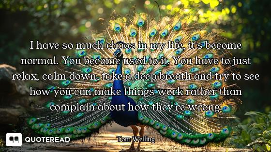 I have so much chaos in my life, it's become normal. You become used to it. You have to just relax,...