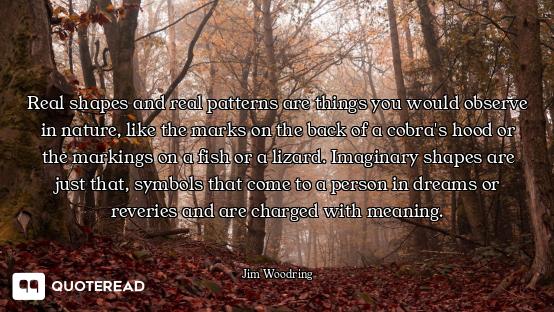 Real shapes and real patterns are things you would observe in nature, like the marks on the back of...