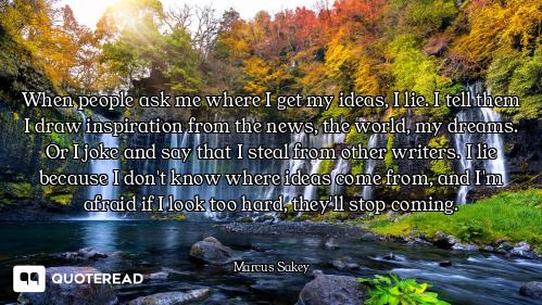 When people ask me where I get my ideas, I lie. I tell them I draw inspiration from the news, the wo...