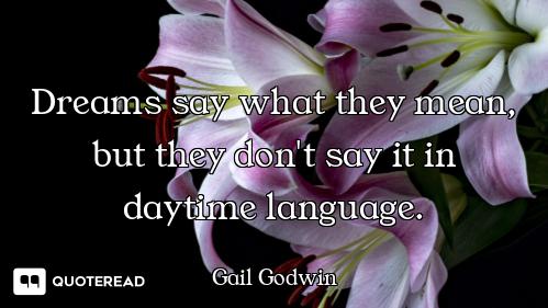 Dreams say what they mean, but they don't say it in daytime language.