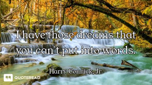 I have those dreams that you can't put into words.