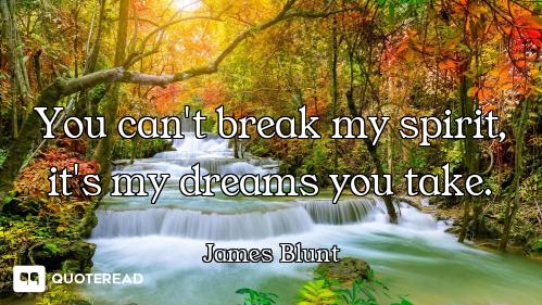 You can't break my spirit, it's my dreams you take.