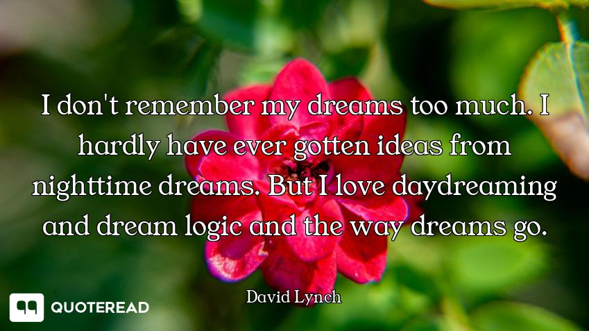 I don't remember my dreams too much. I hardly have ever gotten ideas from nighttime dreams. But I lo...